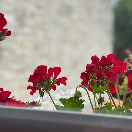 Bed & Breakfast Le Vieux Moulin