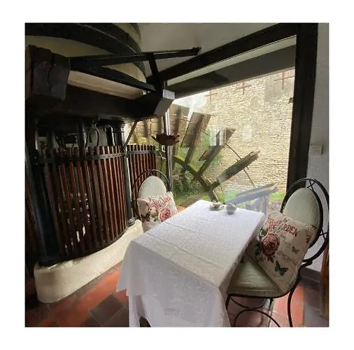 Le Vieux Moulin 3* Bouhet