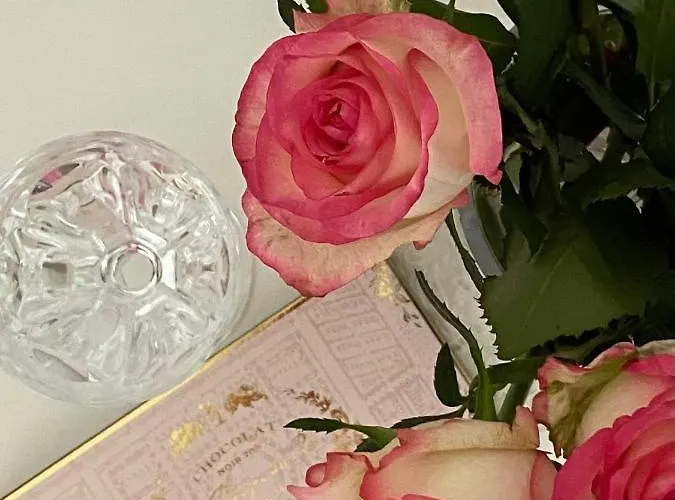 Le Vieux Moulin Bed & Breakfast