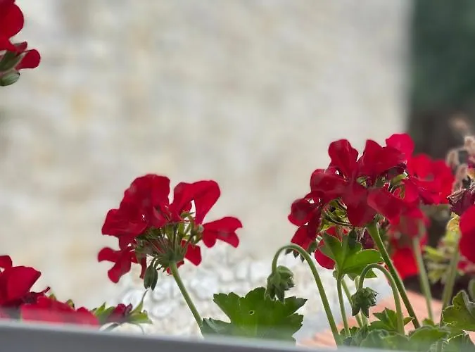 Bed & Breakfast Le Vieux Moulin